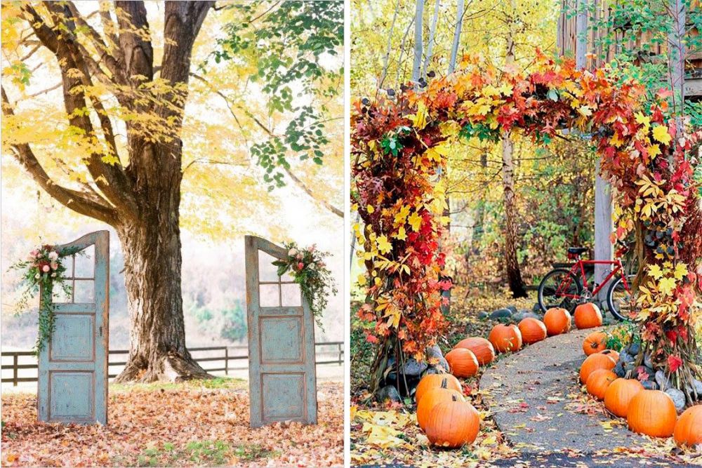 Avezano Thanksgiving Fruitful Autumn Photography Backdrop Backdrops, Autumn phot