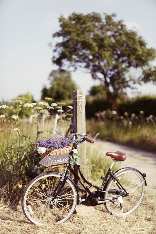 Rebecca Wedding Photography: Stunning Sunny Summer Lavender Farm Wedding...