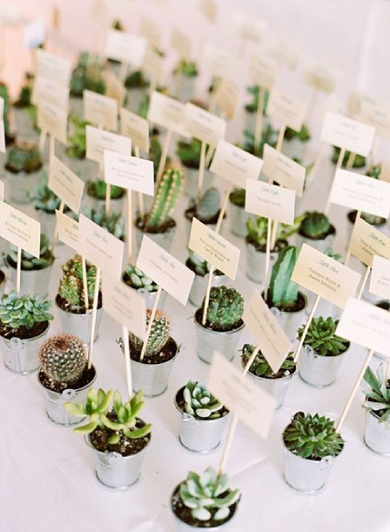 Wedding ideas: Boho Pins: Top 10 Pins of the Week - Succulents at...