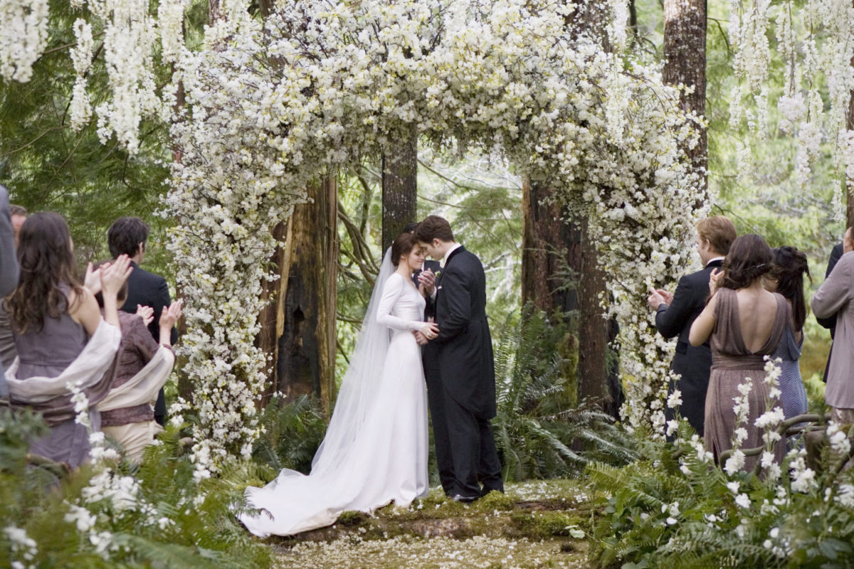 Ð?Ð°Ñ?Ñ?Ð¸Ð½ÐºÐ¸ Ð¿Ð¾ Ð·Ð°Ð¿Ñ?Ð¾Ñ?Ñ? THE TWILIGHT SAGA: BREAKING DAWN wedding dress