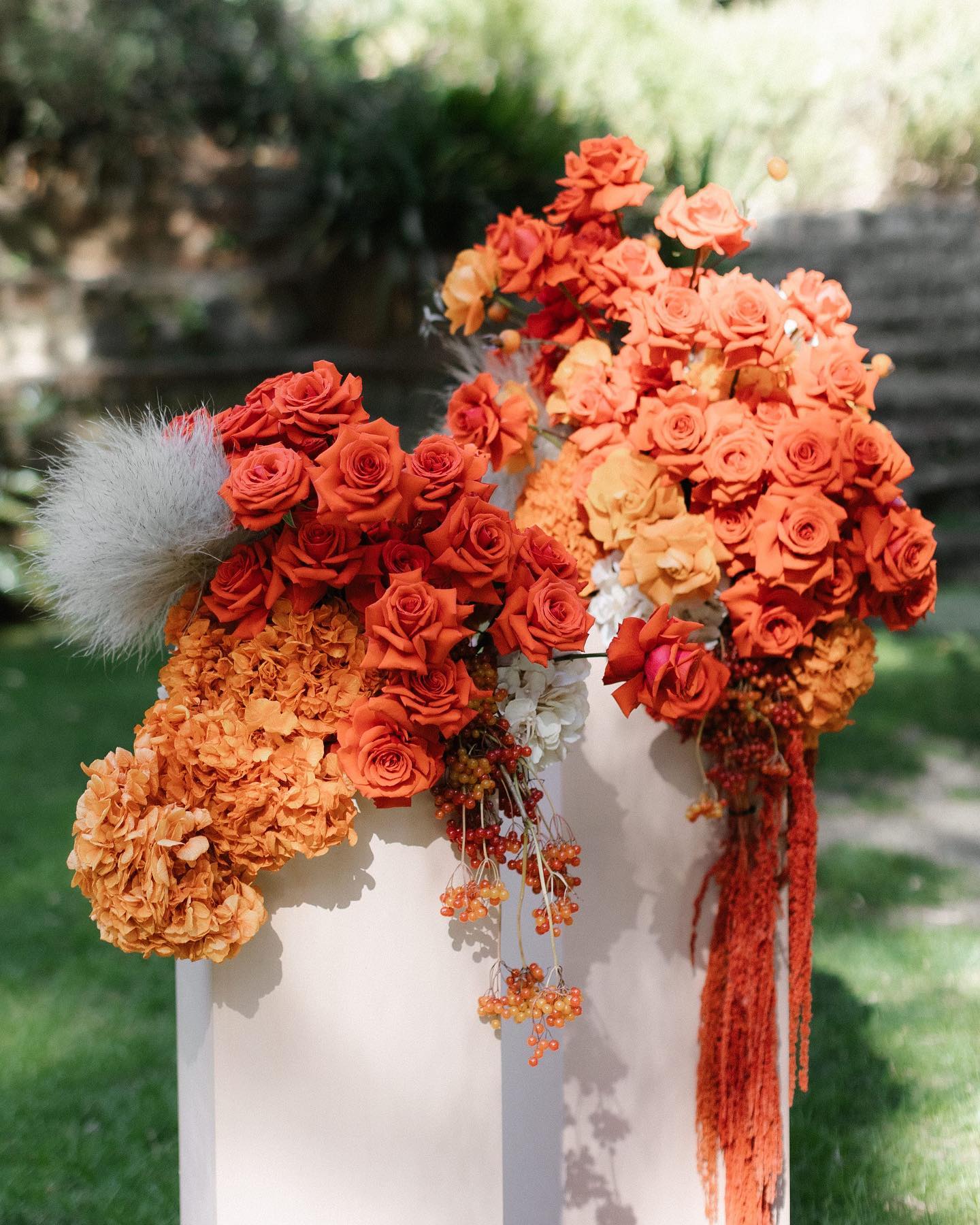 Амарант — самый трендовый цветок 2024 года | Wedding Magazine