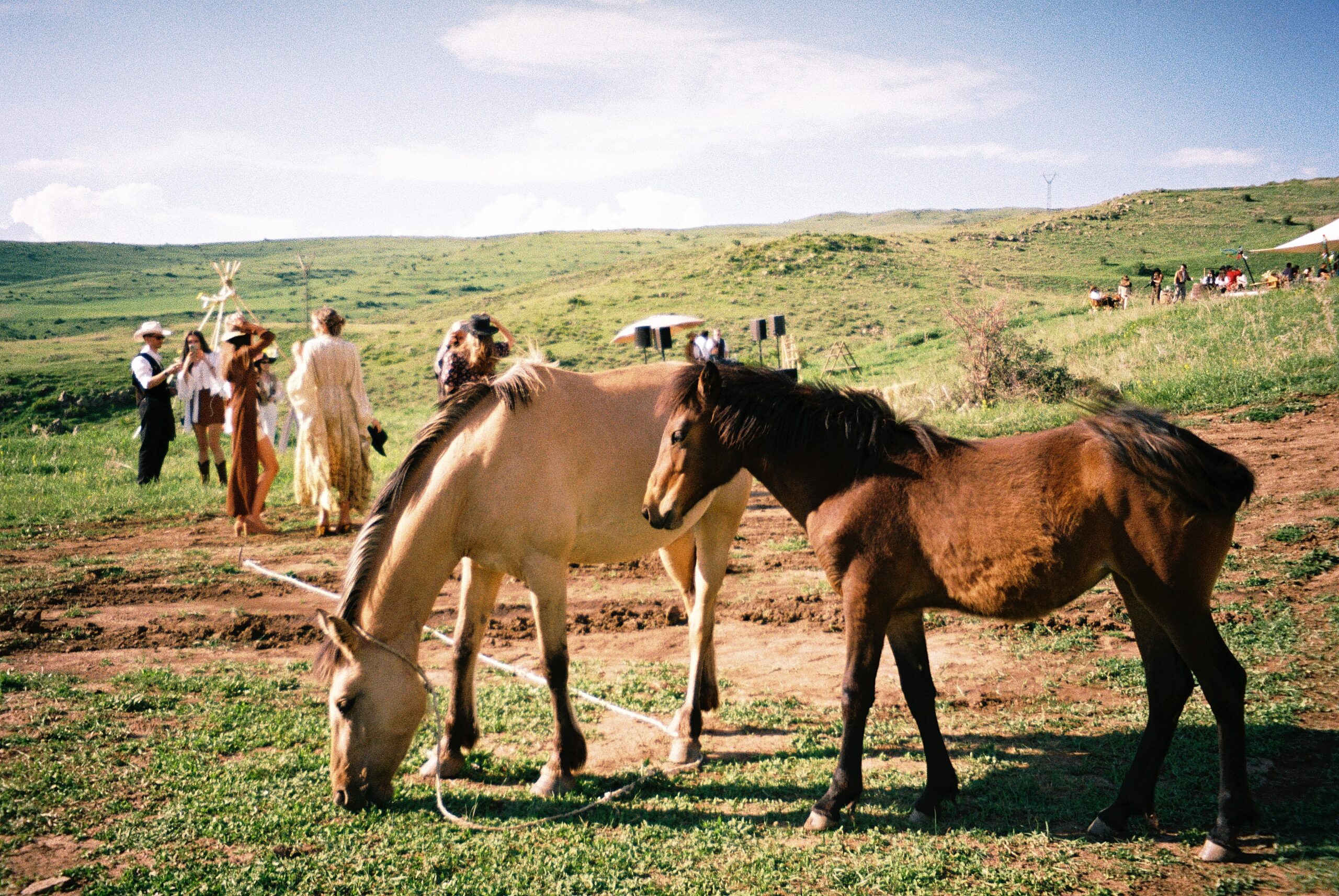 Wedding Angel иммерсивная свадьба