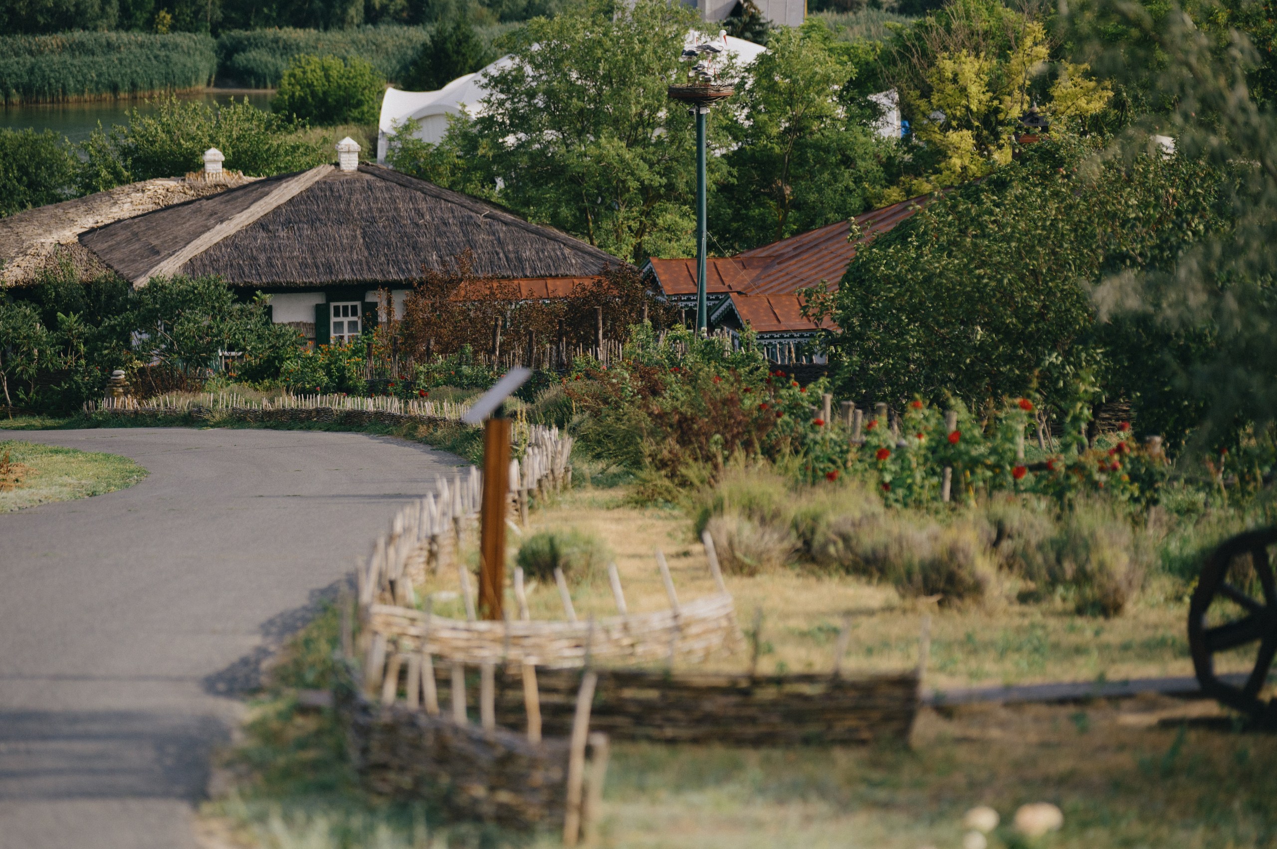 Свадьба, созданная агентством Do Murashek, Ростов. Фото: 2A Studio